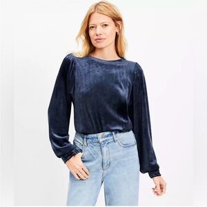 Navy Long Sleeve Velvet Blouse